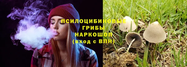 амф Киреевск