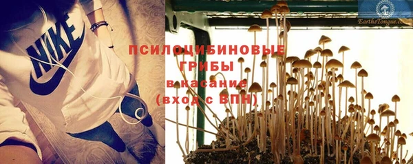 амф Киреевск