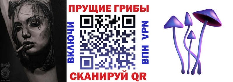 Купить  Бобров  Псилоцибиновые грибы MAGIC MUSHROOMS 